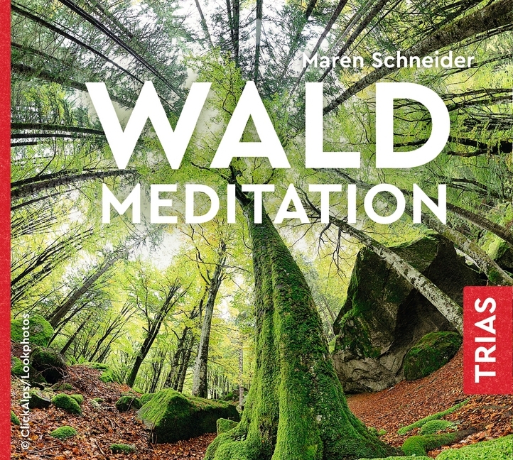 Schneider, M., Waldmeditation, Audio-CD